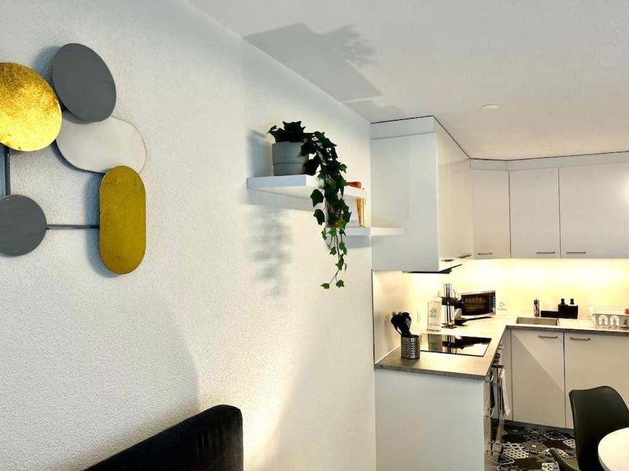 Casa Ambizione Apartment Дитикон Екстериор снимка