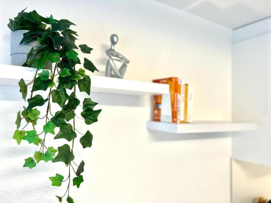 Casa Ambizione Apartment Дитикон Екстериор снимка