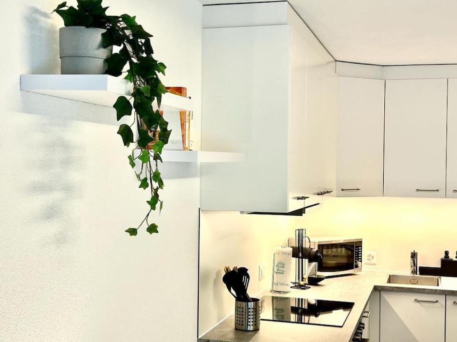 Casa Ambizione Apartment Дитикон Екстериор снимка