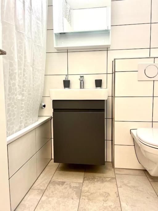 Casa Ambizione Apartment Дитикон Екстериор снимка